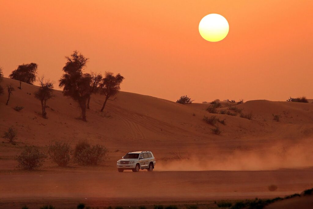 Morning Desert Safari